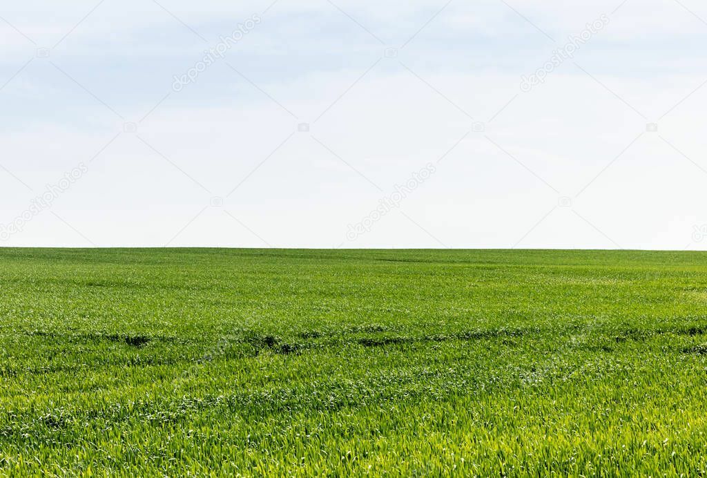 Оценка земельного участка